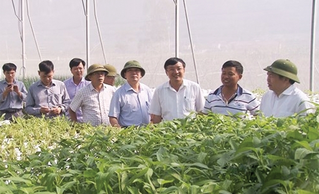 Chủ tịch Liên minh HTX Việt Nam Nguyễn Ngọc Bảo (ngoài cùng bên phải) khảo sát một HTX trên địa bàn tỉnh Nghệ An