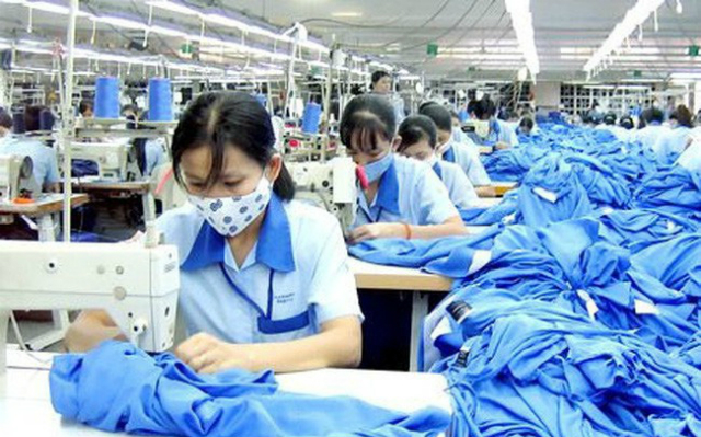 TCM đã có chuỗi tăng giá dài ngày từ nửa cuối tháng 6 đạt gần 8,2%