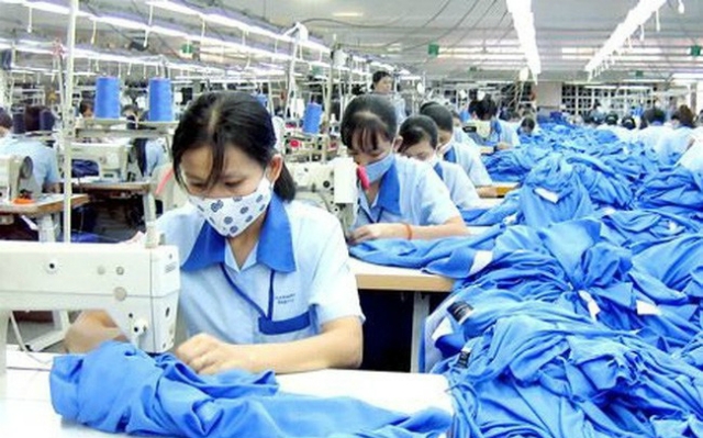 TCM đã có chuỗi tăng giá dài ngày từ nửa cuối tháng 6 đạt gần 8,2%