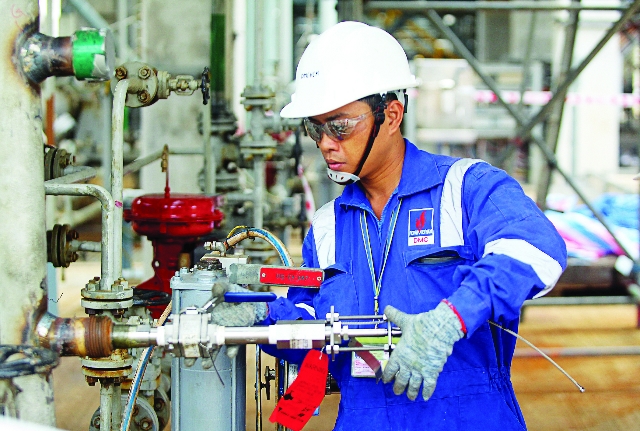 Trong 6 tháng đầu năm, DMC đã kinh doanh vượt kế hoạch