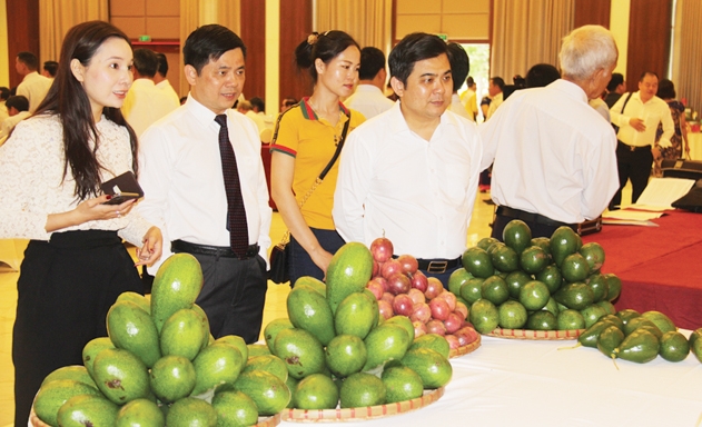 Phó Chủ tịch Nguyễn Văn Thịnh (thứ hai từ trái qua) và cán bộ của VCA thăm gian hàng nông sản chất lượng cao của các HTX ở Sơn La