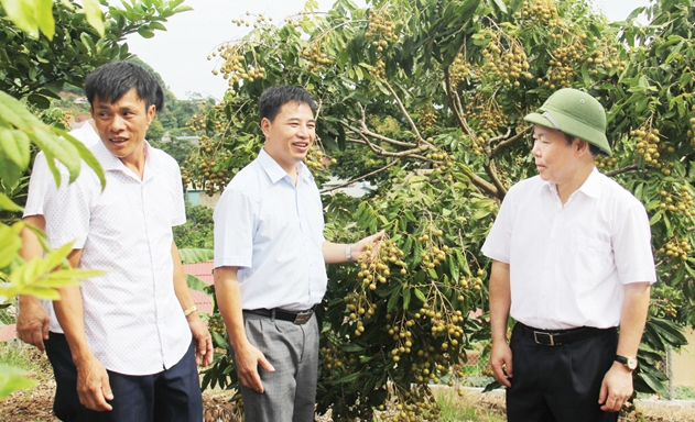 Chủ tịch Liên minh HTX Sơn La Trần Thế Phương giới thiệu mô hình HTX Phương Nam với Chủ tịch Liên minh HTX Việt Nam Nguyễn Ngọc Bảo (phải)