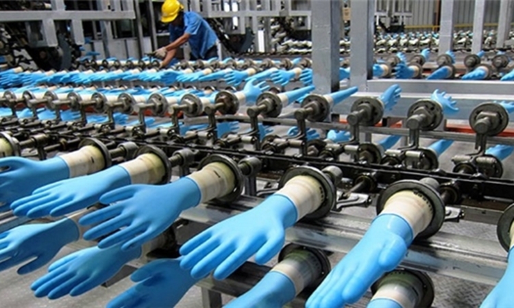 Nhà sản xuất găng tay cao su lớn nhất thế giới mở nhà máy tại Việt Nam