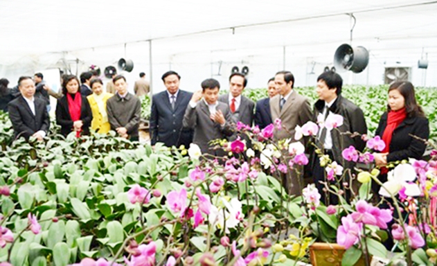 HTX đang có những đóng góp tích cực trong xây dựng NTM