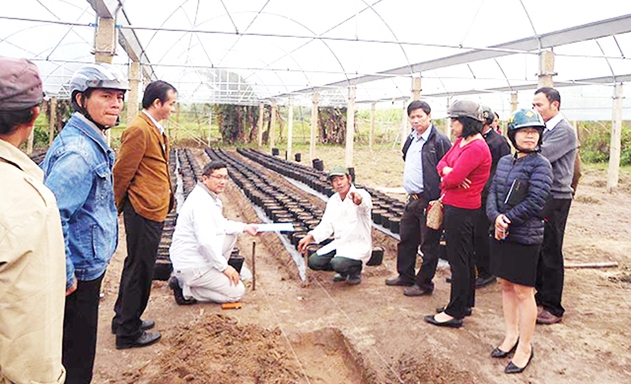 Các HTX đang đóng góp tích cực vào quá trình xây dựng NTM tại An Khê