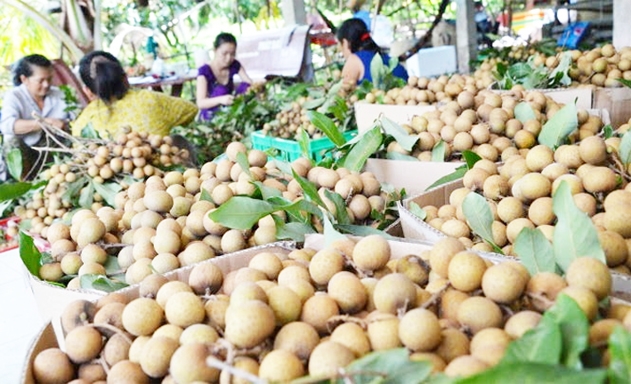 Sản phẩm nhãn Edor xuất khẩu của HTX