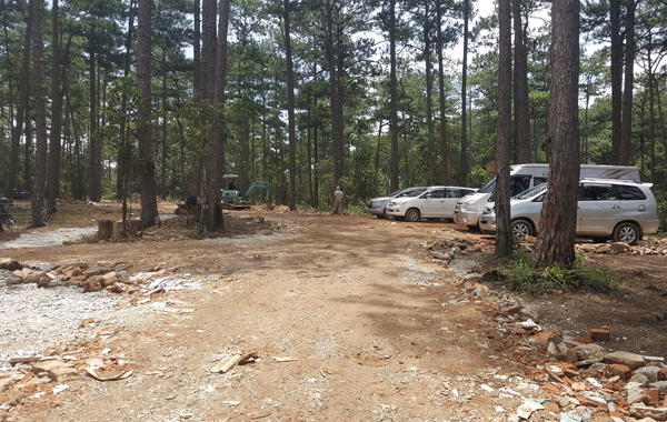 Lâm Đồng thu hồi 195 dự án liên quan đến rừng, đất rừng (Ảnh Internet)