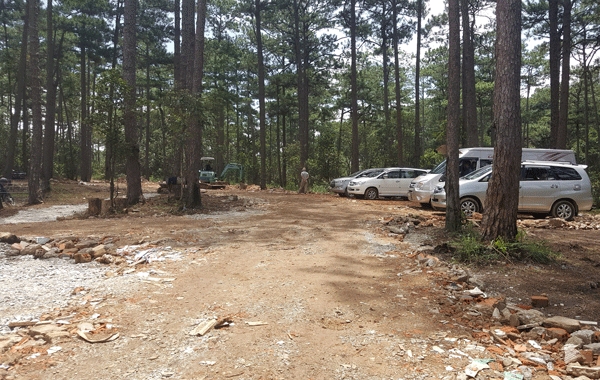 Lâm Đồng thu hồi 195 dự án liên quan đến rừng, đất rừng (Ảnh Internet)