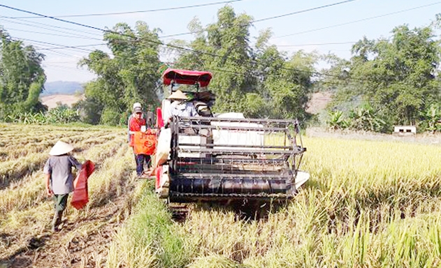Các HTX đang là động lực phát triển kinh tế - xã hội, xây dựng NTM tại Bắc Kạn