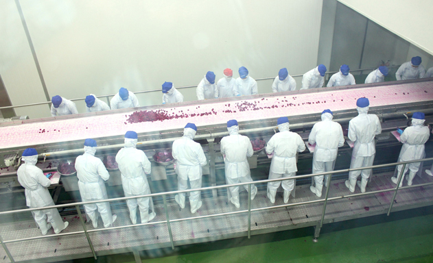 Sức phát triển ngành chế biến nông sản chưa tương xứng với tiềm năng