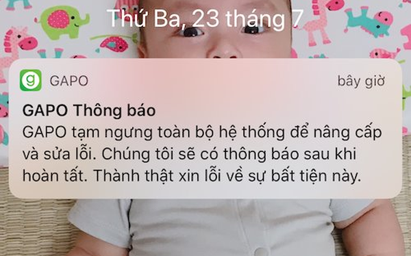 Bị lỗi trong ngày đầu ra mắt, mạng xã hội Gapo thông báo bảo trì hệ thống (Ảnh Internet)
