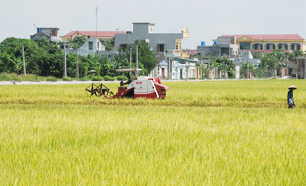 ​HTX đã làm tốt việc ứng dụng KH-KT, cơ giới hóa