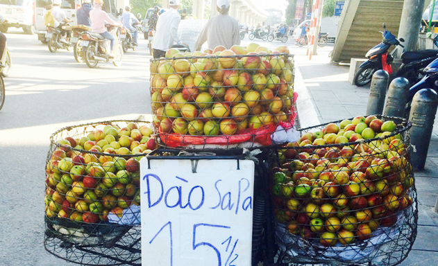 Đào Trung Quốc gắn mác đào Sa Pa rao bán nhiều trên hè phố với mức giá siêu rẻ đang hút khách