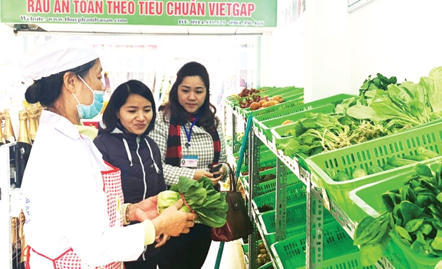 Số chuỗi nông sản an toàn còn khiêm tốn so với sản lượng