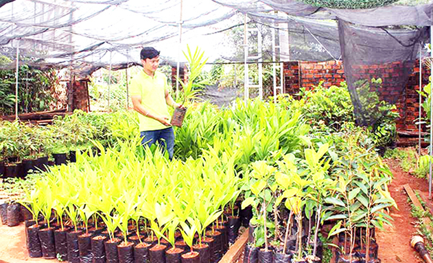 Các HTX đang là động lực phát triển NTM tại Gia Lai