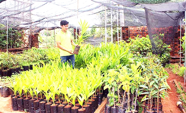 Các HTX đang là động lực phát triển NTM tại Gia Lai