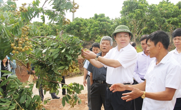 Chủ tịch Nguyễn Ngọc Bảo: Liên minh sẽ là đầu mối phối hợp với chính quyền địa phương và các HTX