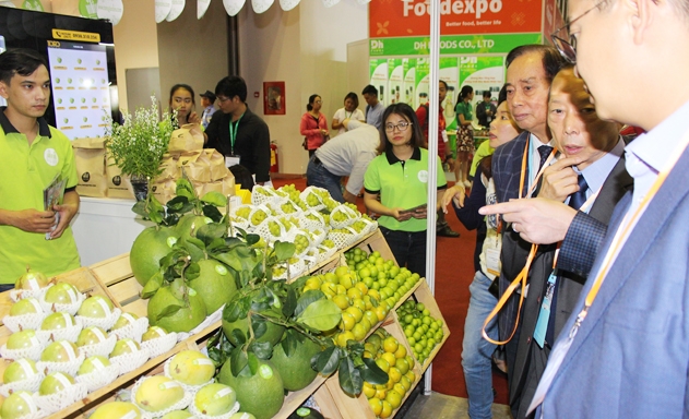 DN còn lúng túng với XK chính ngạch trước nhà thu mua Trung Quốc