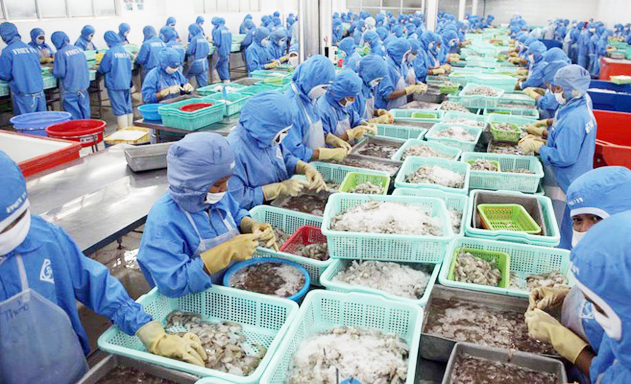 XK tôm sang thị trường Trung Quốc 6 tháng đầu năm giảm 4,9% so với cùng kỳ