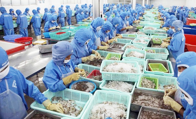 XK tôm sang thị trường Trung Quốc 6 tháng đầu năm giảm 4,9% so với cùng kỳ