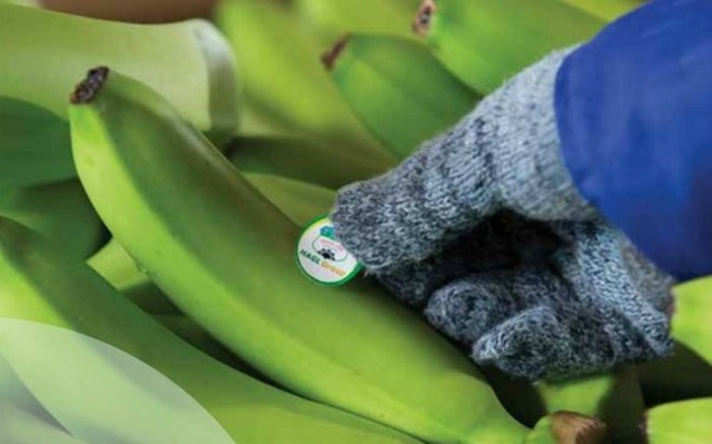 Cổ phiếu HAG giảm sâu sau thông tin kinh doanh thua lỗ