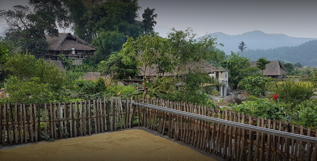 Mô hình kinh doanh tổ hợp của HTX Đồng Quê