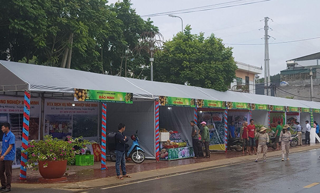Gian hàng trưng bày tại Ngày hội.
