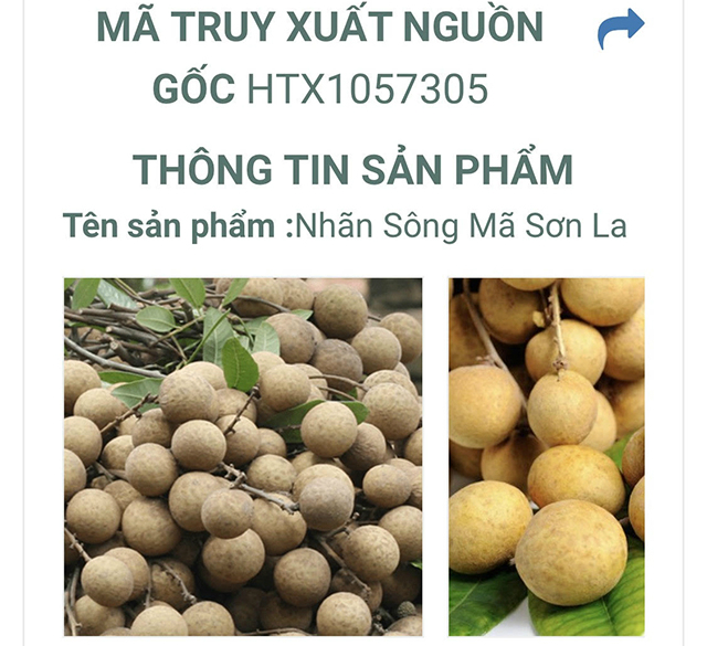 Sản phẩm nhãn trưng bày tại lễ hội phải đáp ứng đượ