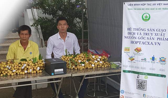 Trung tâm Khoa học Công nghệ và Môi trường dán tem truy xuất nguồn gốc cho 300 tấn nhãn tại Ngày hội.