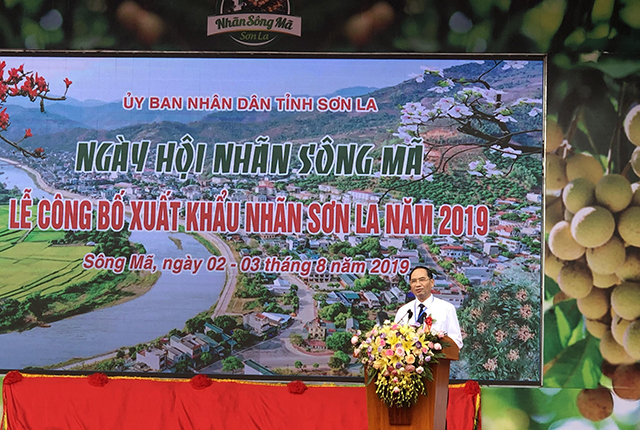 Sông Mã là địa phương có diện tích trồng nhãn lớn nhất tỉnh Sơn La