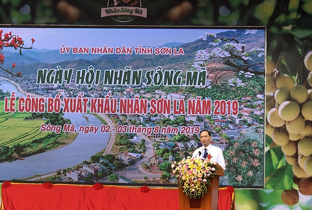 Sông Mã là địa phương có diện tích trồng nhãn lớn nhất tỉnh Sơn La