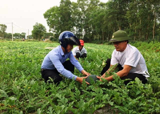 Năm 2018, doanh thu từ dưa hấu của HTX đạt 2,3 tỷ đồng