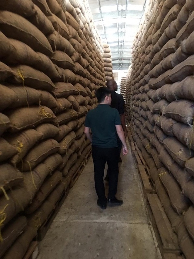 Kho điều được Chính phủ Tanzania quản lý sắp xuất khẩu cho Tập đoàn T&T Group