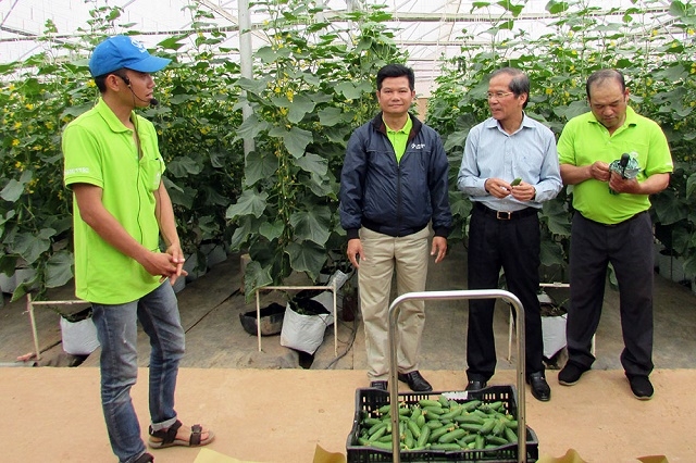 Sản xuất rau, quả tại Lâm Đồng nhờ ứng dụng công nghệ cao cho hiệu quả vượt trội