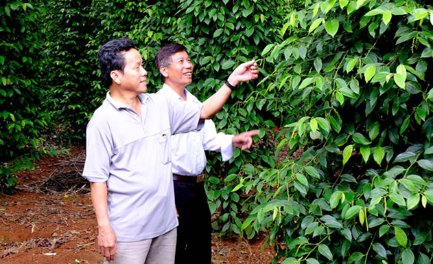 HTX đang đóng vai trò đòn bẩy trong xây dựng NTM ở Xuyên Mộc