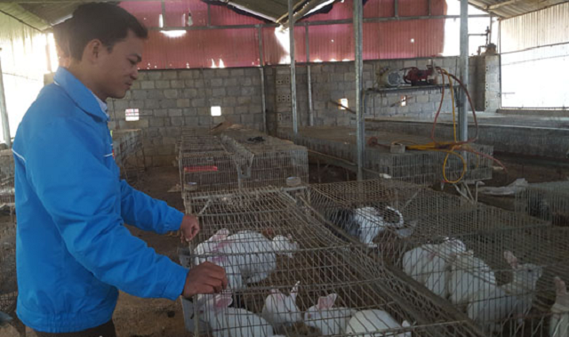 Chuồng nuôi được lắp đặt cao hơn mặt sàn 60 - 70 cm, bảo đảm khô, thoáng, dễ dàng xử lý chất thải