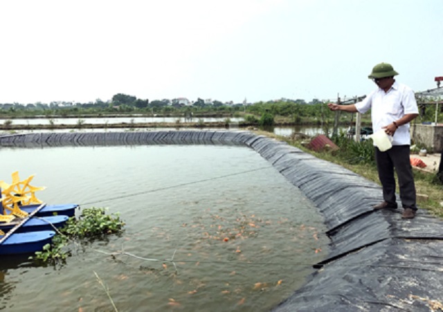 HTX đã xây dựng mô hình sản xuất khoa học và hiện đại