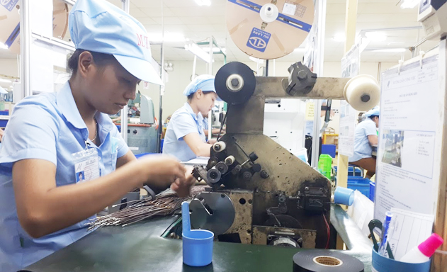 NSLĐ đã có chuyển biến mạnh trong những năm gần đây