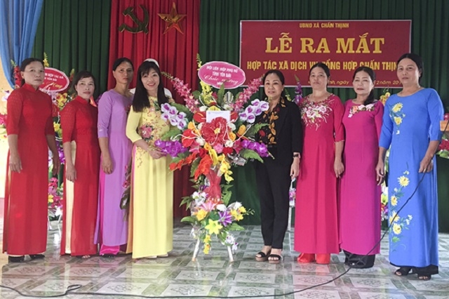 Thành viên HTX chủ yếu là hội viên của Hội phụ nữ xã Chấn Thịnh