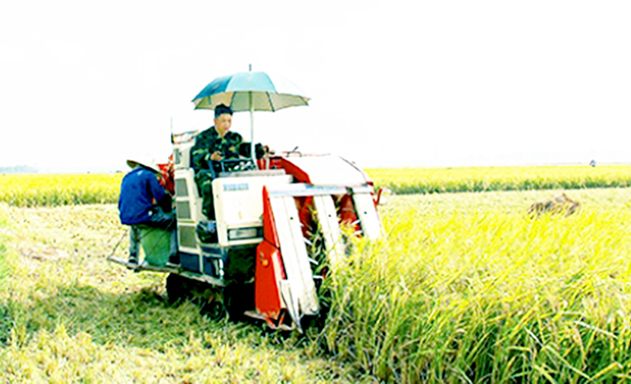 Bình Định là 1 trong 8 xã được công nhận NTM đầu tiên của tỉnh Thái Bình