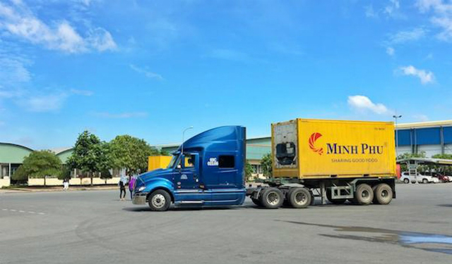 Cổ phiếu MPC giảm ngay sau khi có thông tin bán cổ phiếu quỹ với giá rẻ hơn giá thị trường