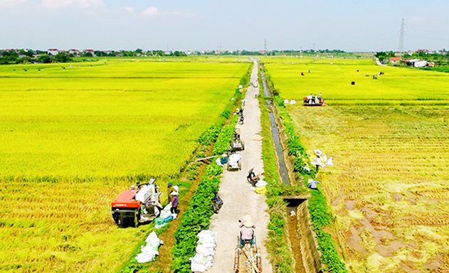 Với sự tham gia của các HTX, Vĩnh Tường đặt mục tiêu về đích huyện NTM trong năm 2019