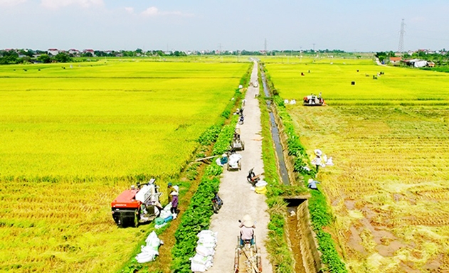 Với sự tham gia của các HTX, Vĩnh Tường đặt mục tiêu về đích huyện NTM trong năm 2019