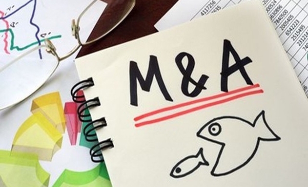 Lo ngại DN FDI thâu tóm DN nội thông qua M&A