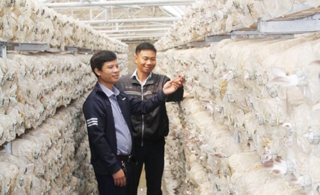 HTX đã mang lại một nghề mới cho người dân địa phương