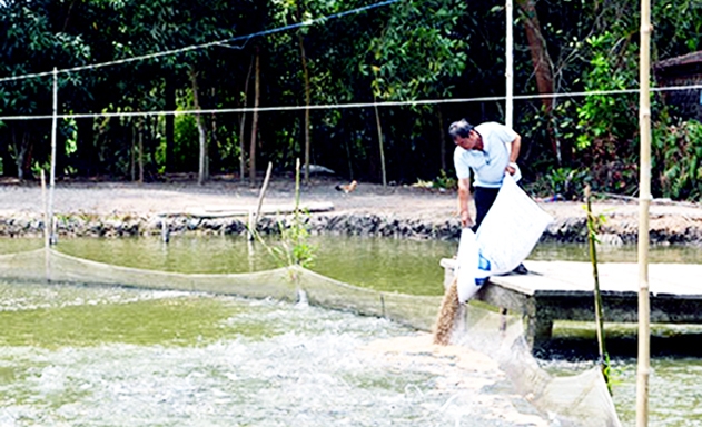 Hiệu quả của các HTX là nhân tố quan trọng giúp Đại Thành hoàn thành mục tiêu xã NTM nâng cao