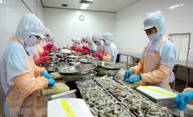 XK tôm sang EU có thể tăng thêm 6% trong năm 2019 nhờ EVFTA