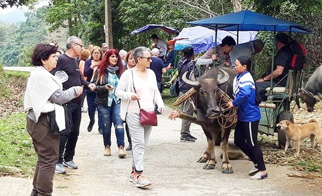 Để khắc phục khó khăn, ông Tý cho mở rộng thêm nhiều loại hình dịch vụ mới