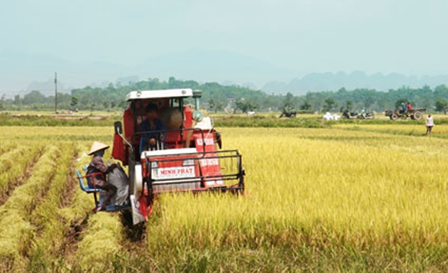 Hoạt động hiệu quả, HTX đóng góp tích cực vào xây dựng NTM