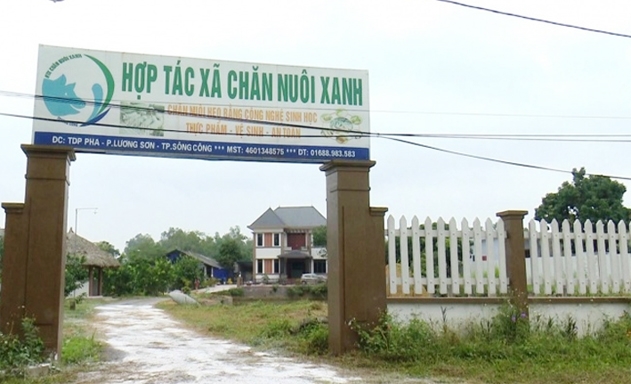 Khu trang trại chăn nuôi theo quy trình khép kín của HTX